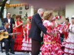Ampliar imagen