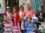 Ampliar imagen