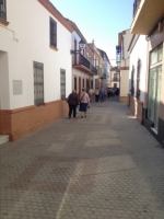 Ampliar imagen